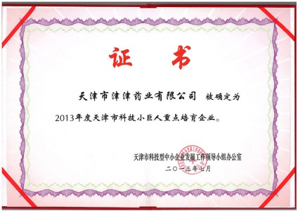 2013年度天津市科技小巨人重點(diǎn)培育企業(yè)