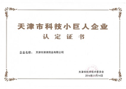 2014年天津市科技小巨人企業(yè)認(rèn)定證書
